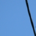 SDC10858