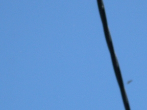 SDC10858