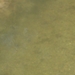 SDC10856