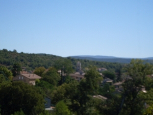 SDC10850
