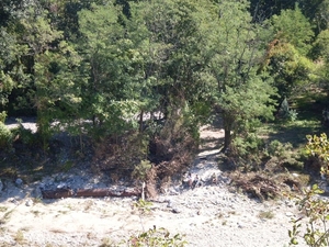 SDC10849