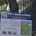 SDC10831