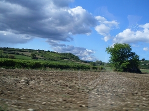 SDC10816