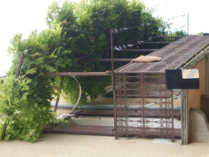 SDC10802