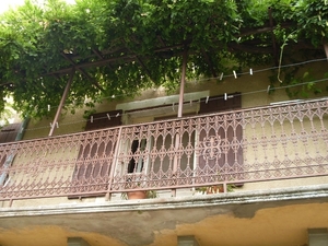 SDC10801