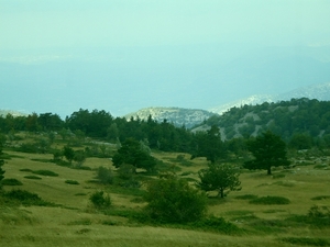 SDC10779