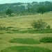SDC10778