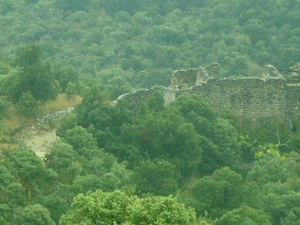 SDC10776