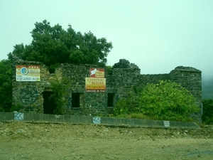 SDC10774