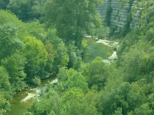 SDC10764