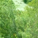 SDC10762