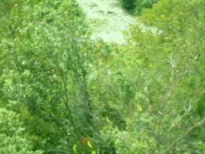 SDC10762