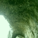 SDC10754