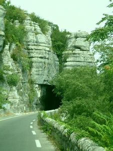 SDC10749