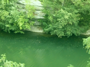 SDC10745
