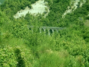 SDC10731