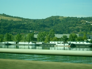 SDC10719