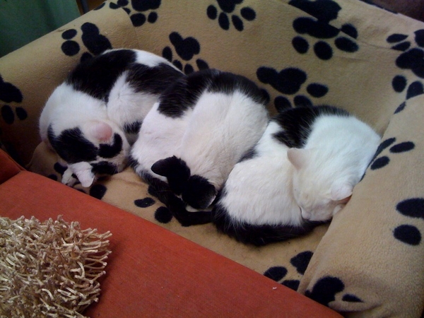 Geen ruimte meer op de stoel