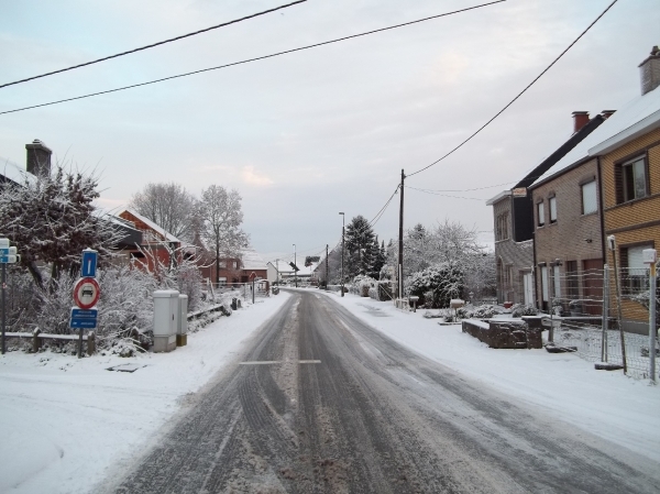 SNEEUW IN HET WEIVELD TE BUGGENHOUT