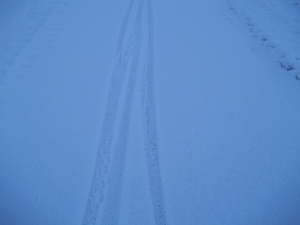 SPOREN IN DE SNEEUW