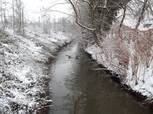 beek achter het station van Dendermonde