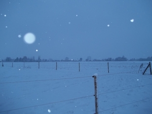 en maar sneeuwen