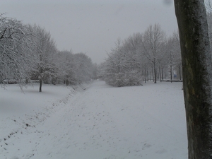 winter 2010 005