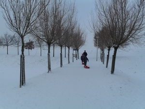 winter 2010 008