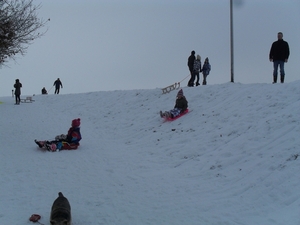 winter 2010 068