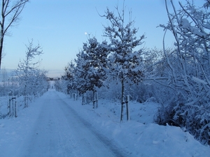 winter 2010 013