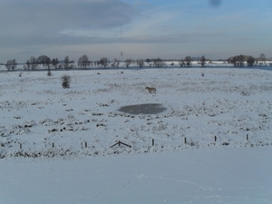 winter 2010 001-1