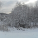 winter 2010 002