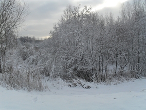 winter 2010 002