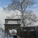 winter 2010 006