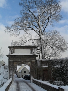 winter 2010 006