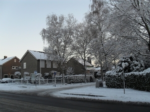 winter 2010 011