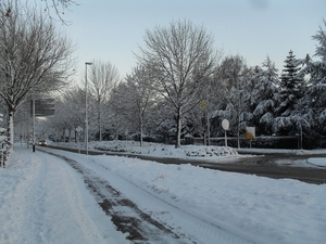 winter 2010 012