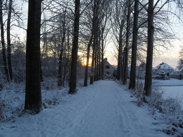 winter 2010 014
