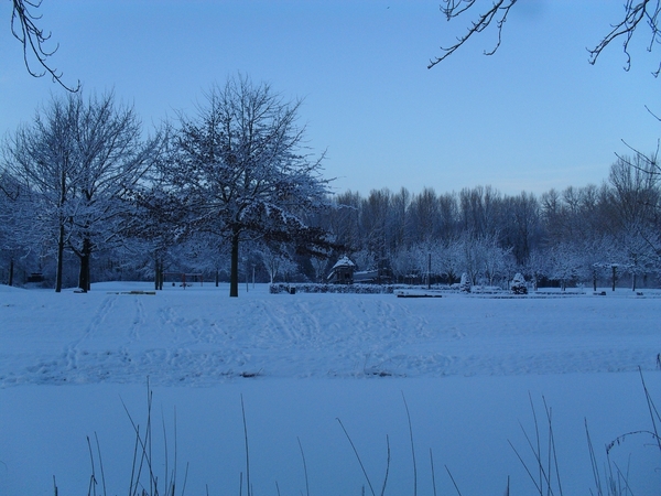winter 2010 015