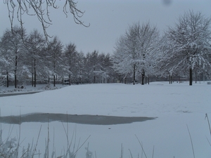 winter 2010 018