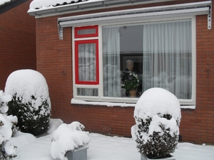 winter 2010 019