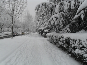 winter 2010 020