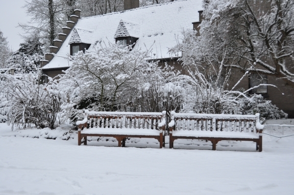 Meise Nationale plantentuin winter
