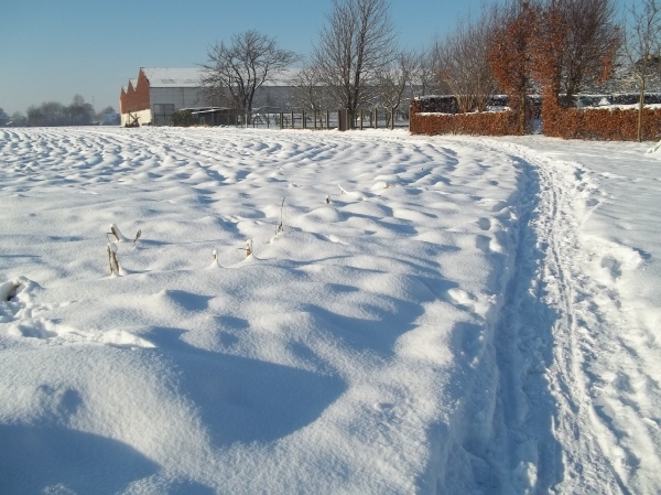besneeuwde akkers