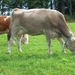 9 Furtwangen 013