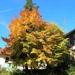 15 Titisee 002