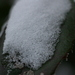 Wintermacro  4 001