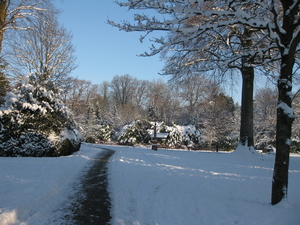 winter in het park 008