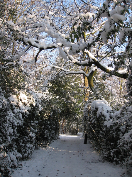 winter in het park 011