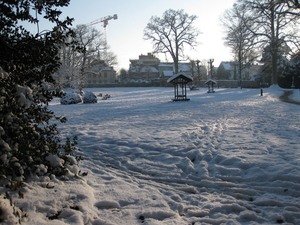 winter in het park 012